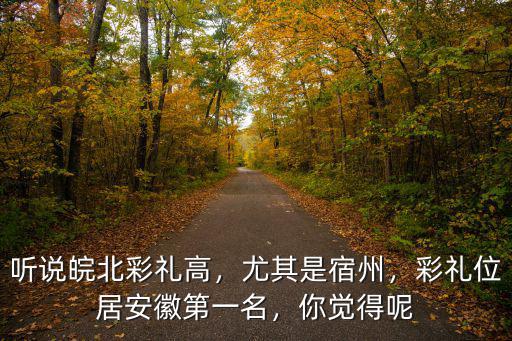 聽說皖北彩禮高，尤其是宿州，彩禮位居安徽第一名，你覺得呢