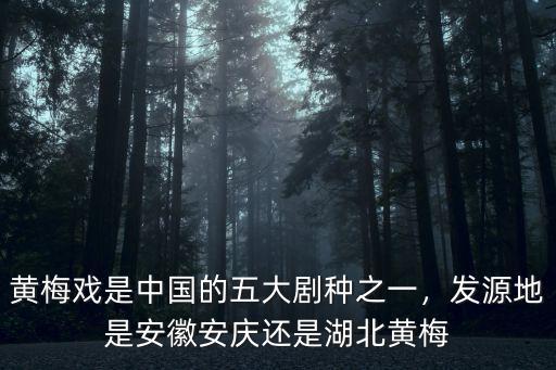 安慶學黃梅戲多少錢,不會安慶話怎么唱黃梅戲啊