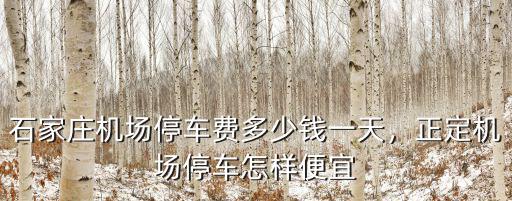 石家莊正定機場到綿陽多少錢,石家莊機場停車費多少錢一天