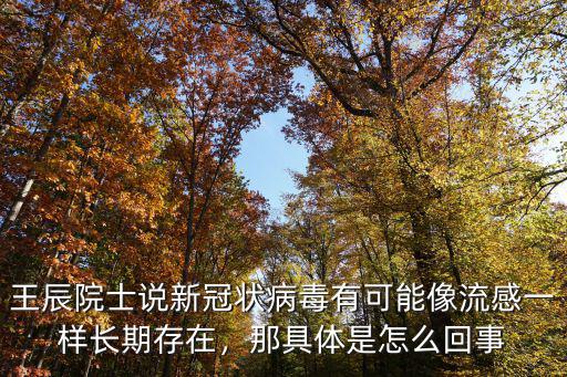 武漢流感是怎么回事,那具體是怎么回事