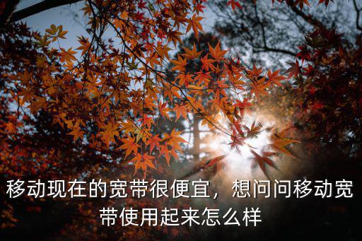 移動現在的寬帶很便宜，想問問移動寬帶使用起來怎么樣