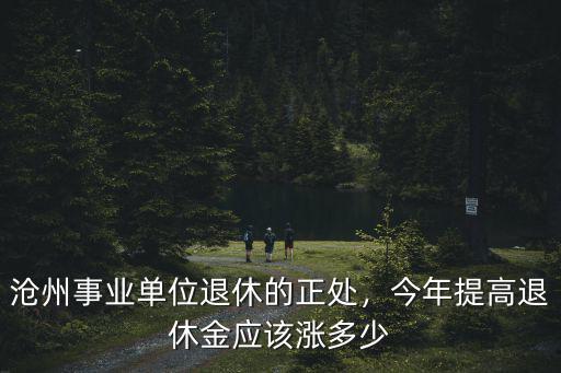 河北正處退休多少錢,滄州事業(yè)單位退休的正處
