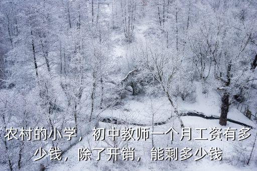 農村的小學，初中教師一個月工資有多少錢，除了開銷，能剩多少錢