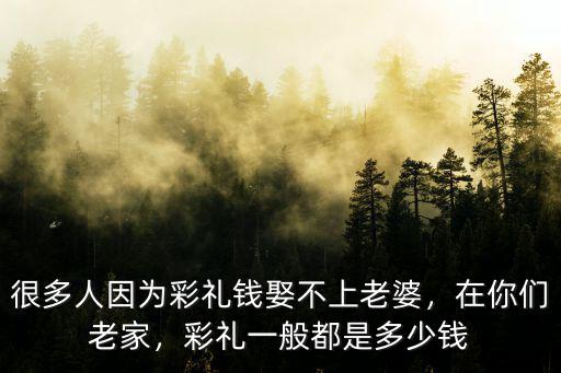 很多人因?yàn)椴识Y錢娶不上老婆，在你們老家，彩禮一般都是多少錢