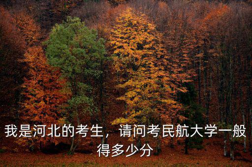 河北考生考空乘二本線(xiàn)是多少,我是河北的考生