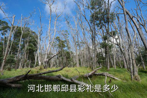 河北邯鄲邱縣彩禮是多少