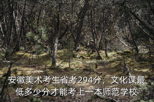 安徽美術(shù)考生省考294分，文化課最低多少分才能考上一本師范學(xué)校