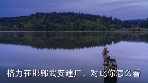 世界有多少發達國家在邯鄲建廠,格力在邯鄲武安建廠