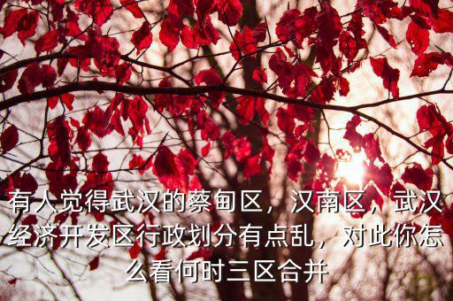 武漢漢南現在發展的怎么樣了,武漢漢南新長江買的期房