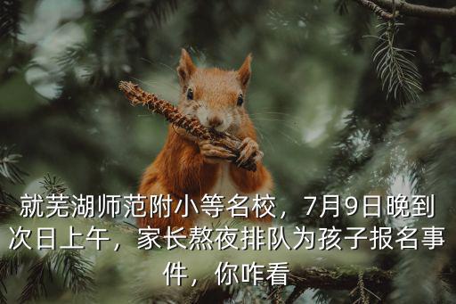 就蕪湖師范附小等名校，7月9日晚到次日上午，家長熬夜排隊為孩子報名事件，你咋看