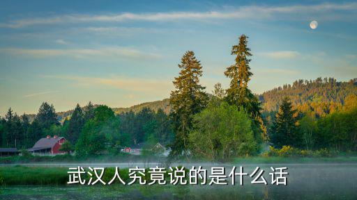 武漢話蜘蛛怎么說,蜘蛛用你們家鄉話怎么說