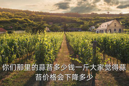 邢臺蒜苔零售價(jià)多少錢一斤,蒜苔的價(jià)格多少錢一斤