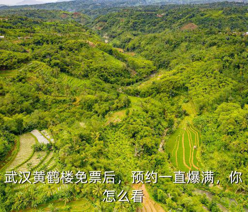 怎么預約武漢黃鶴樓的門票,武漢黃鶴樓免票后