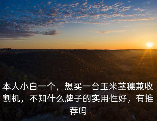 本人小白一個，想買一臺玉米莖穗兼收割機，不知什么牌子的實用性好，有推薦嗎