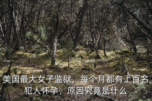 河北廊坊女子監獄有多少犯人,女子監獄沒有男犯人