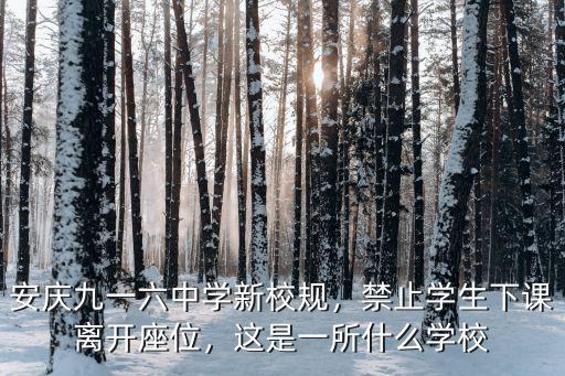 安慶九一六中學一年學費是多少,安慶九一六中學新校規