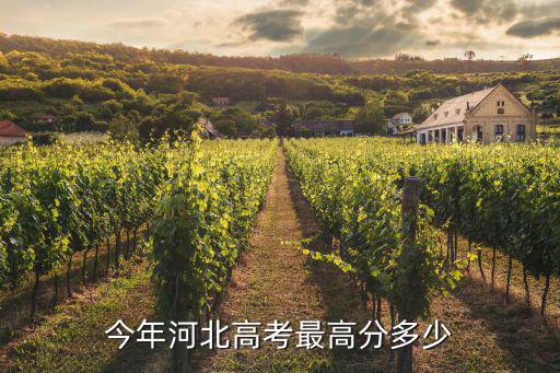 河北611分多少人,2019年河北文科611分