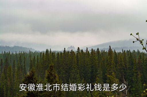 安徽淮北市結婚彩禮錢是多少