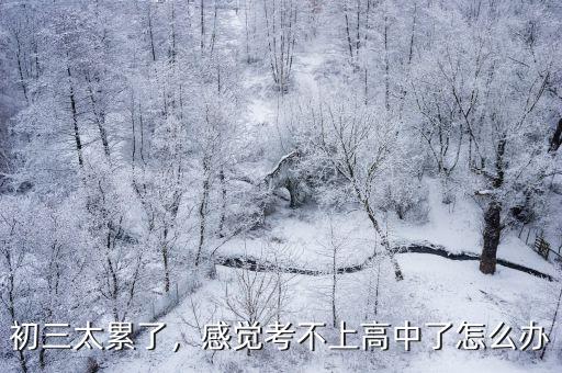 初三太累了，感覺考不上高中了怎么辦
