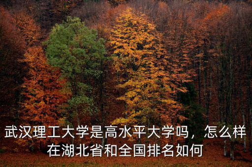 武漢理工大學石兵老師怎么樣,武漢理工大學口碑怎么樣