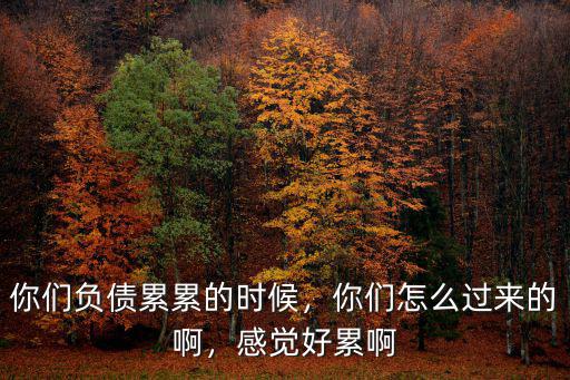 武漢負債累累的時候怎么樣啊,你們負債累累的時候