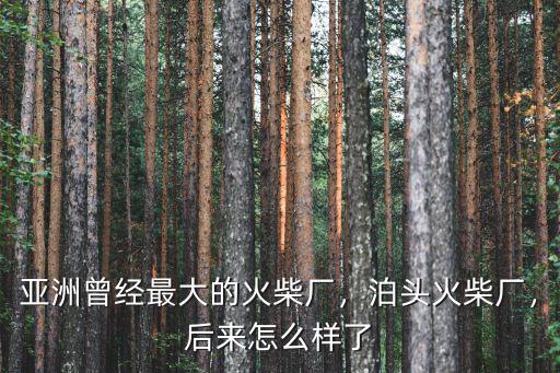 河北泊頭火柴廠有多少年的歷史,有多少人記得泊頭火柴