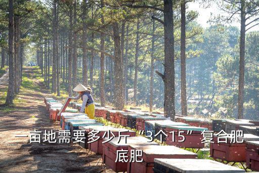 芝麻一畝地要多少復(fù)合肥,一畝地用多少芝麻種子