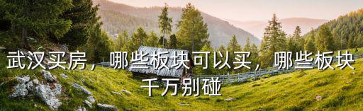武漢買房，哪些板塊可以買，哪些板塊千萬別碰