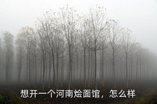 想開一個河南燴面館，怎么樣