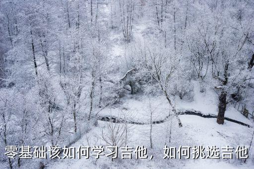 零基礎該如何學習吉他，如何挑選吉他