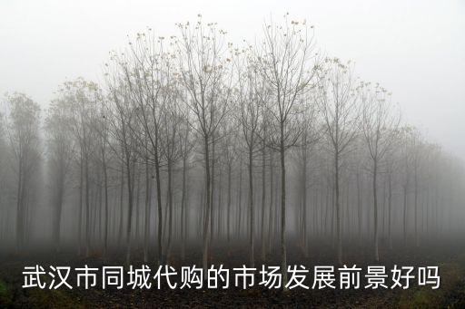 武漢市同城代購的市場發展前景好嗎