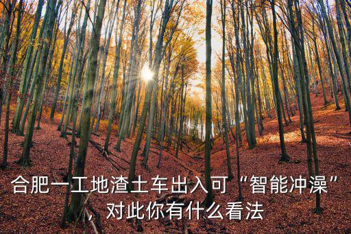 合肥渣土車一車拉多少方,能不能買輛渣土車干