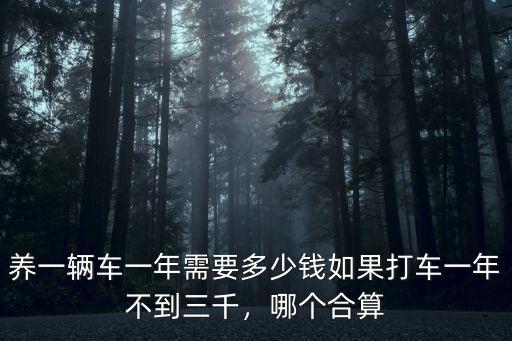 宣城打車要多少錢一天,如果打車一年不到三千