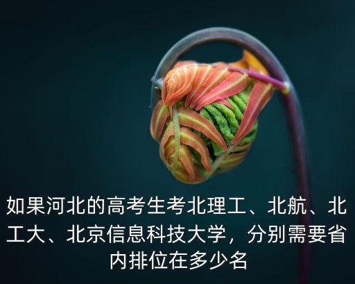 如果河北的高考生考北理工、北航、北工大、北京信息科技大學，分別需要省內(nèi)排位在多少名