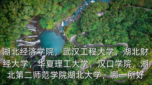 湖北經(jīng)濟學院，武漢工程大學，湖北財經(jīng)大學，華夏理工大學，漢口學院，湖北第二師范學院湖北大學，哪一所好