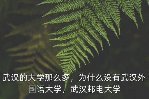 武漢的大學那么多，為什么沒有武漢外國語大學，武漢郵電大學
