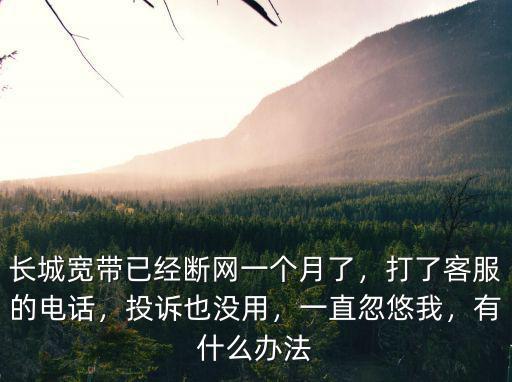 長城寬帶已經斷網一個月了，打了客服的電話，投訴也沒用，一直忽悠我，有什么辦法
