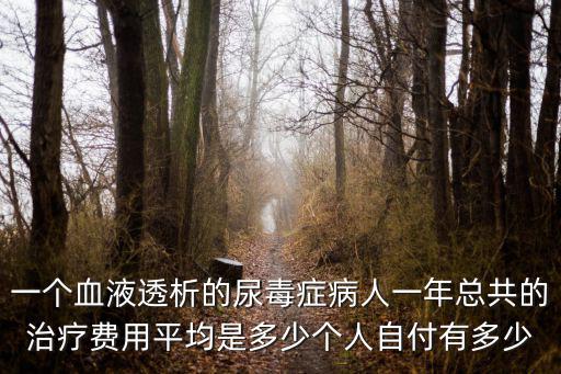 一個血液透析的尿毒癥病人一年總共的治療費(fèi)用平均是多少個人自付有多少