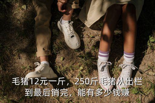 安徽省碭山縣毛豬多少錢1斤,毛豬12元一斤