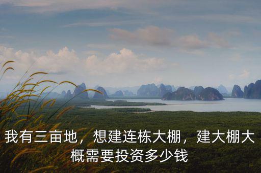 淮北連棟大棚骨架多少錢,建大棚大概需要投資多少錢