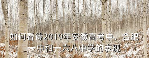 如何看待2019年安徽高考中，合肥一中和一六八中學的表現