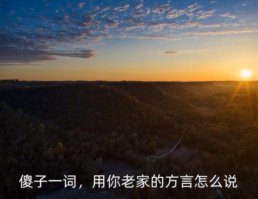 傻子一詞，用你老家的方言怎么說