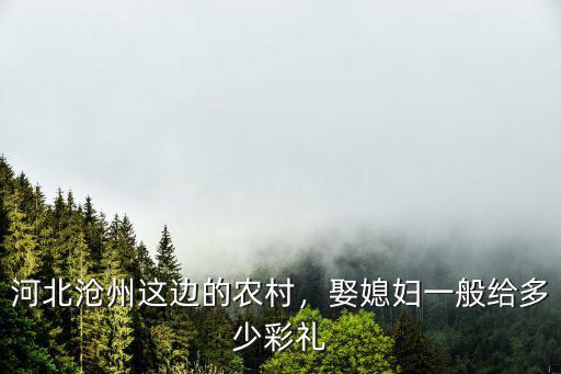 河北滄州這邊的農村，娶媳婦一般給多少彩禮
