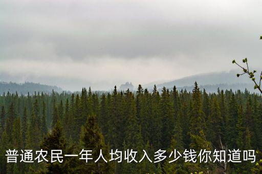 安徽泗縣農村一年平均收入多少,安徽農村發(fā)展情況如何