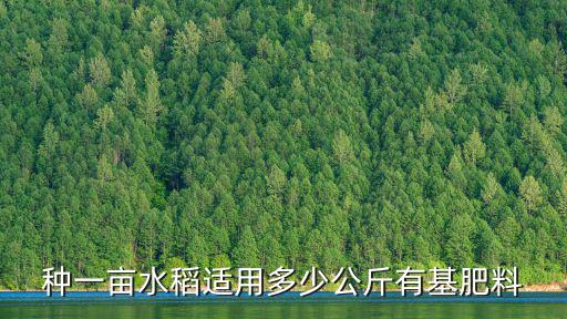 種一畝水稻適用多少公斤有基肥料