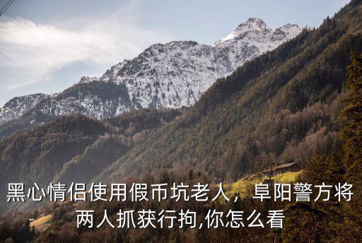 安微阜陽假煙案抓獲多少人,阜陽警方抓獲51名涉案人