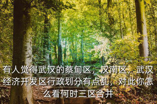 有人覺得武漢的蔡甸區，漢南區，武漢經濟開發區行政劃分有點亂，對此你怎么看何時三區合并
