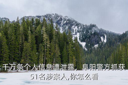 千萬條個(gè)人信息遭泄露，阜陽警方抓獲51名涉案人,你怎么看