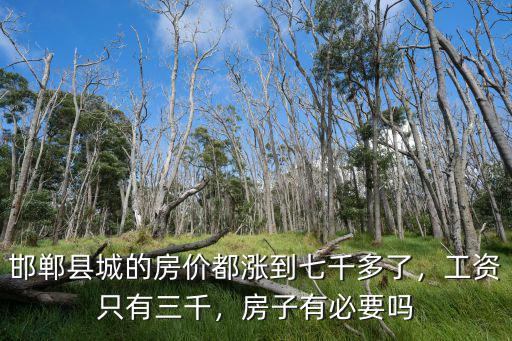 邯鄲縣城的房?jī)r(jià)都漲到七千多了，工資只有三千，房子有必要嗎