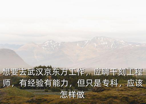 想要去武漢京東方工作，應(yīng)聘干刻工程師，有經(jīng)驗(yàn)有能力，但只是專科，應(yīng)該怎樣做